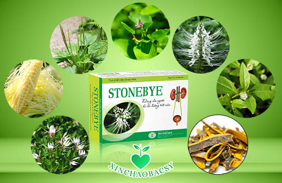 Stonebye hỗ trợ điều trị nhiễm trùng tiết niệu hiệu quảv