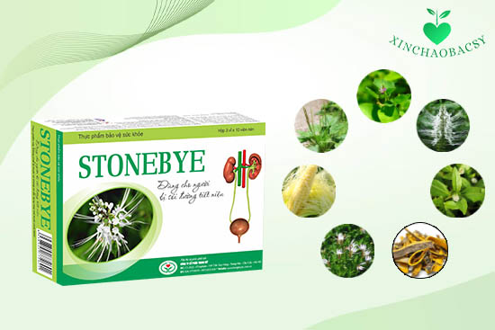 Stonebye – Cách điều trị sỏi thận từ thảo dược tự nhiên